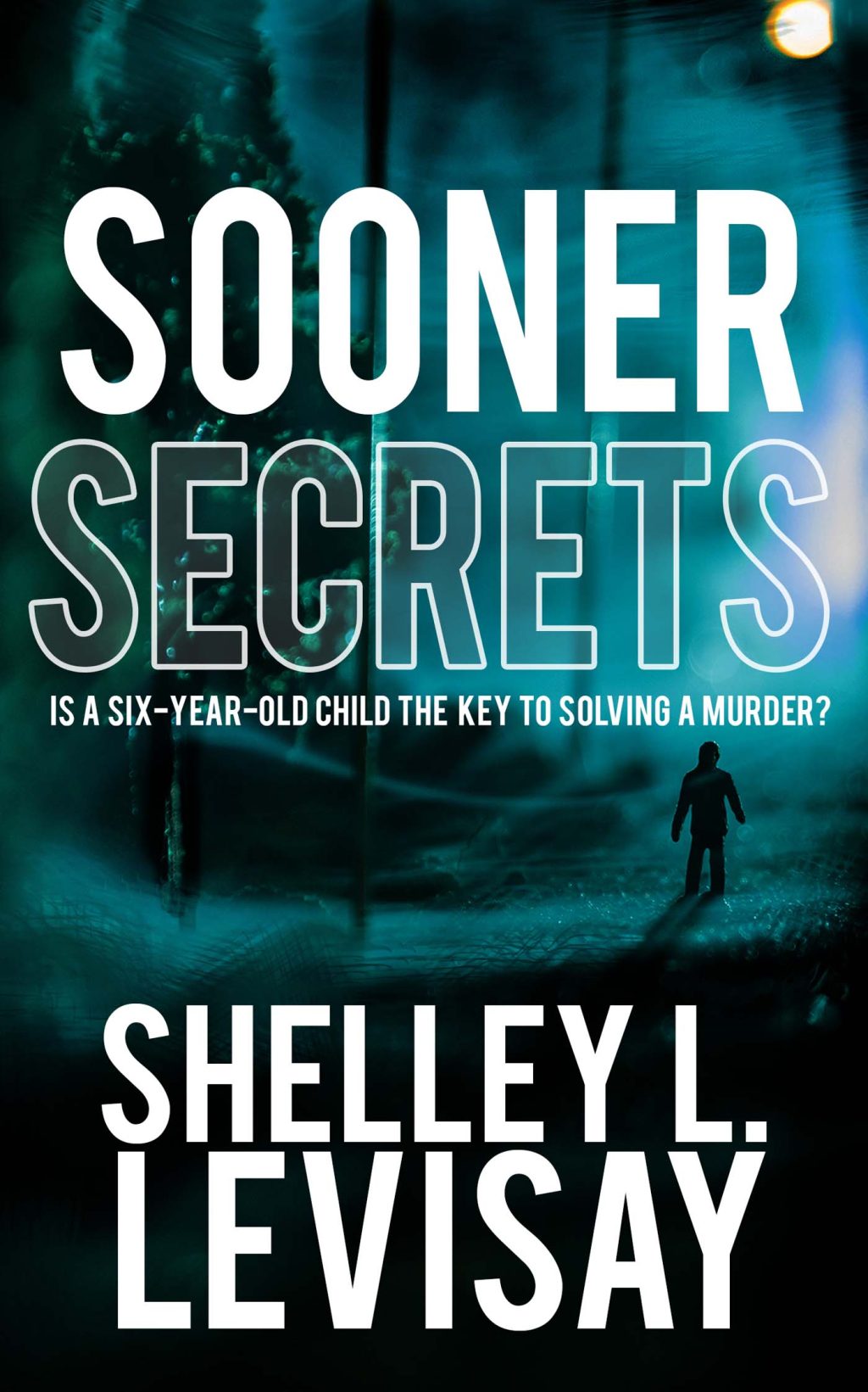 Sooner Secrets by Shelley L. Levisay