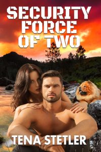 Book Spotlight: Security Force of Two by Tena Stetler